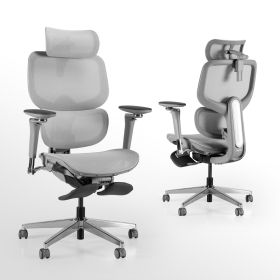 D2 Pro High Back Ergonomic Home Office Chair with DTS Self-Adaptive Lumbar Support, Multi-Adjustable Armrest, Wire Controlled Design, Footrest