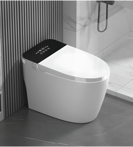 Integrated Bidet Toilet Integrated Bidet Toilet